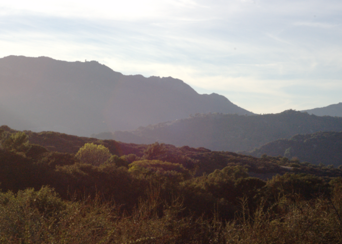 Topanga_Canyon_trail