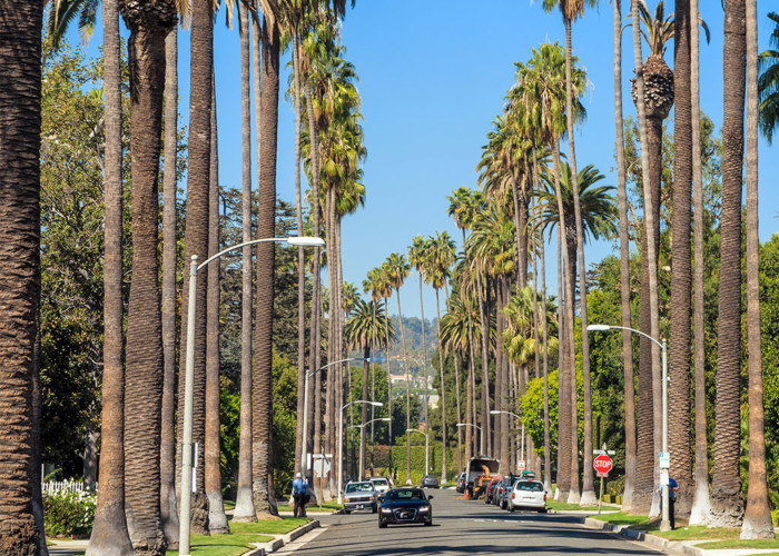 private-jet-charter-to-beverly-hills-california